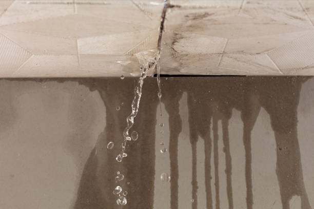 Professional Sewage Cleanup technician working in Palisades, WA